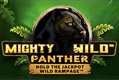 Mighty Wild Panther slot artwork